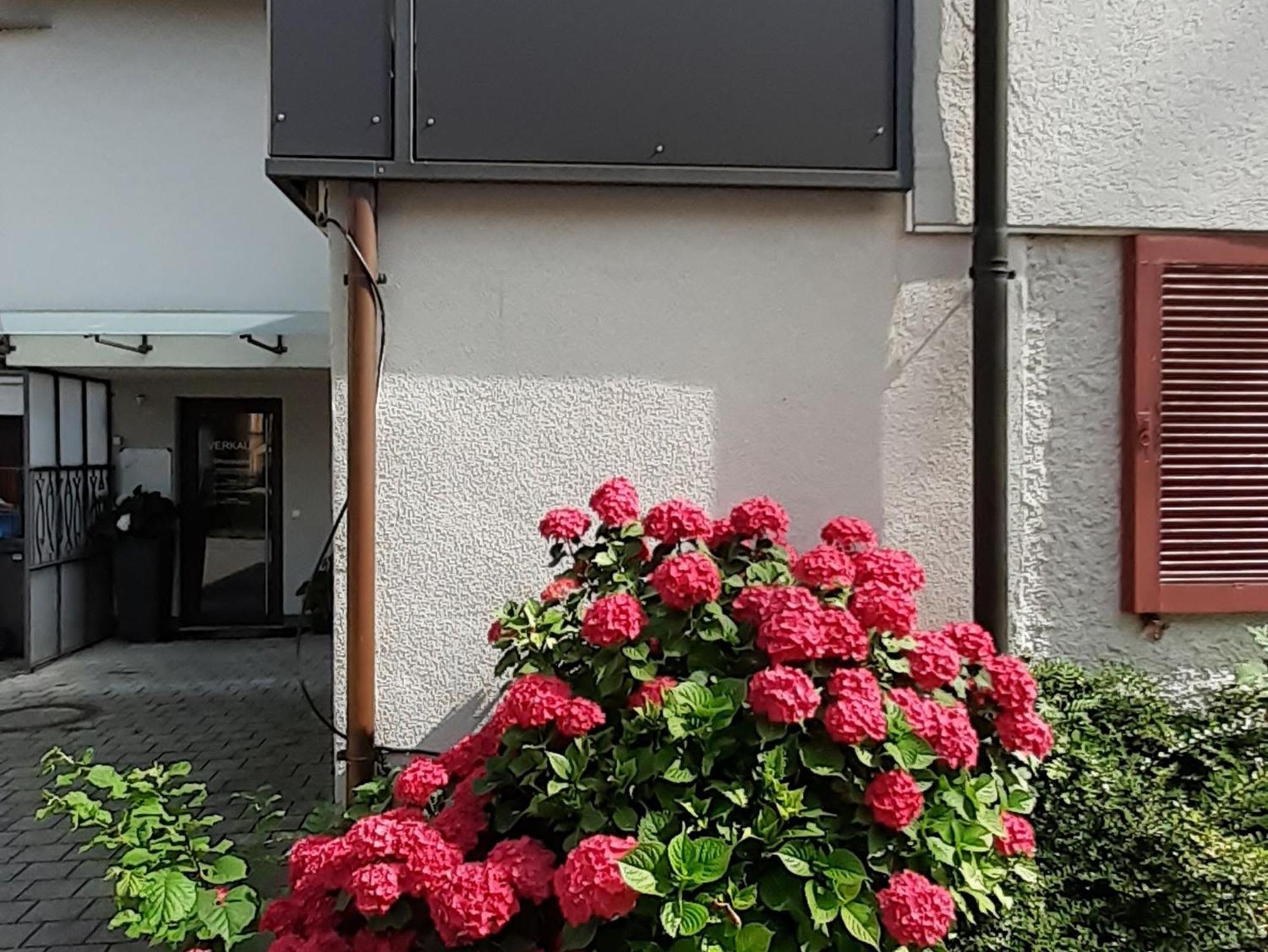 Ferienwohnung Im Fischerhaeusle Нонненхорн Экстерьер фото